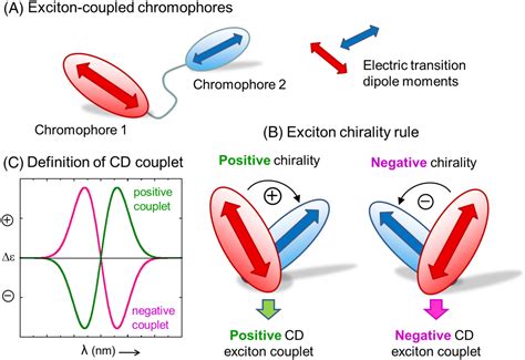 Exciton Definition & Meaning .